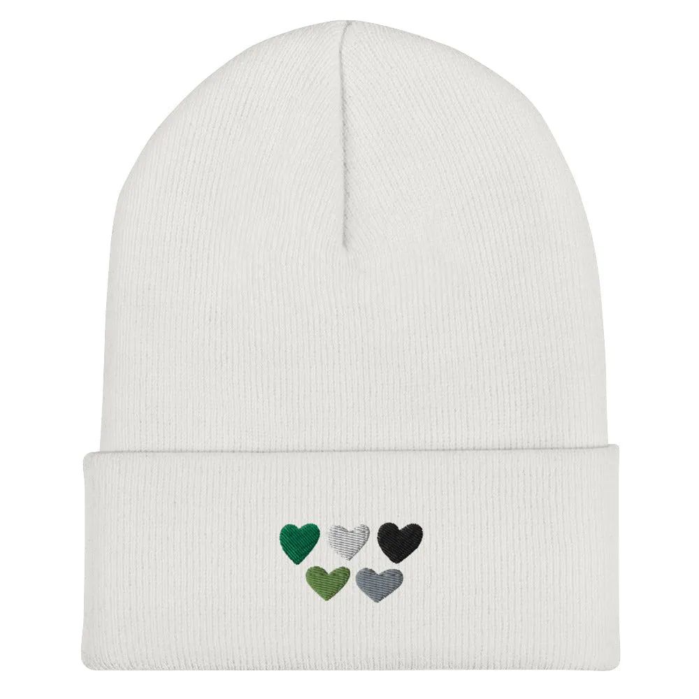 Aromantic Pride Hearts Beanie