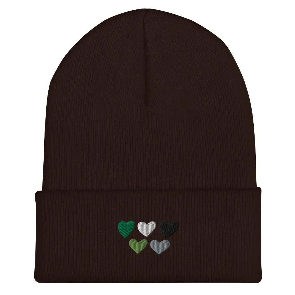 Aromantic Pride Hearts Beanie