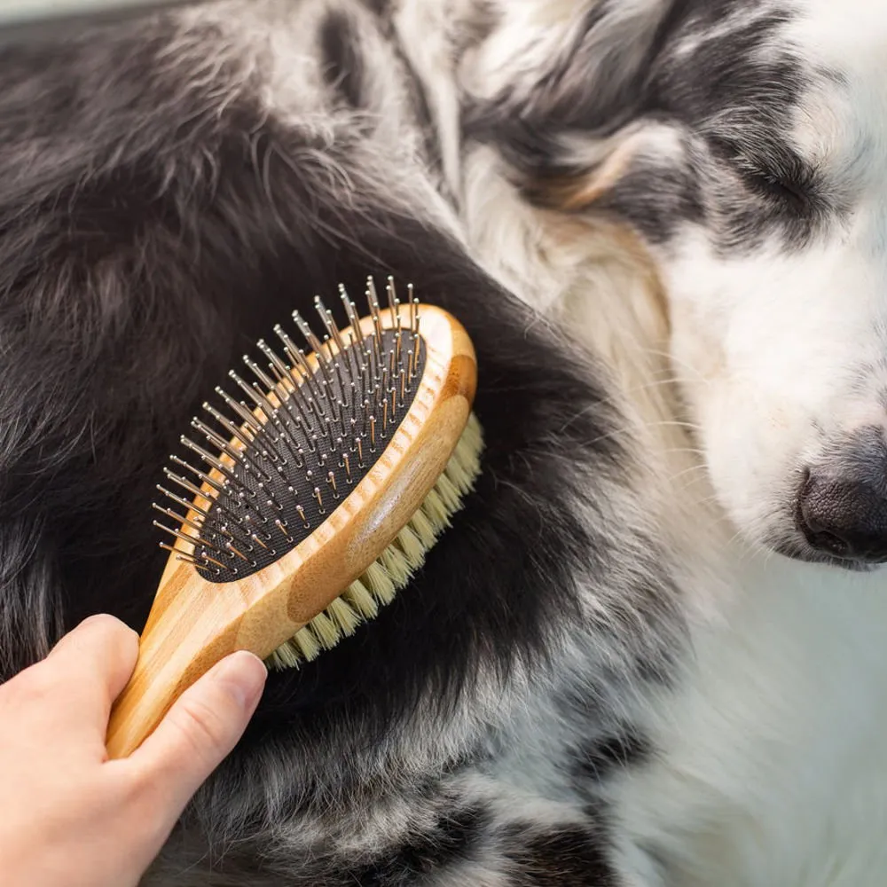 Bamboo Pet Brush   Coat Refresh Spray Bundle