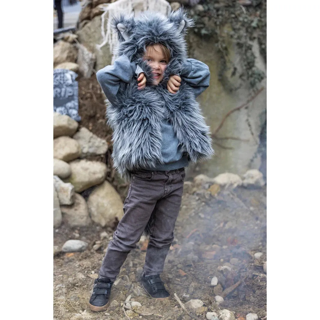 big bad wolf vest with gloves size 3-4