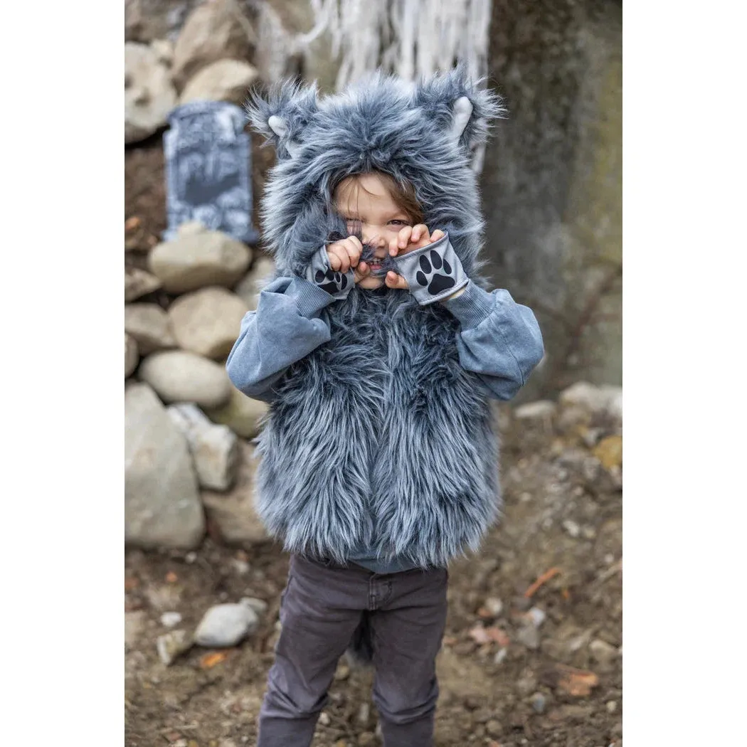 big bad wolf vest with gloves size 3-4