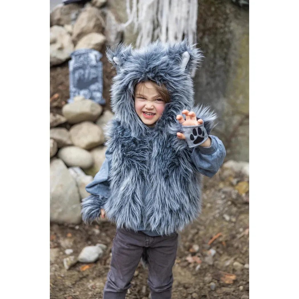 big bad wolf vest with gloves size 3-4