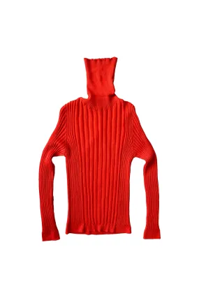 Extra Fine Merino Wool Ribbed Turtle Neck