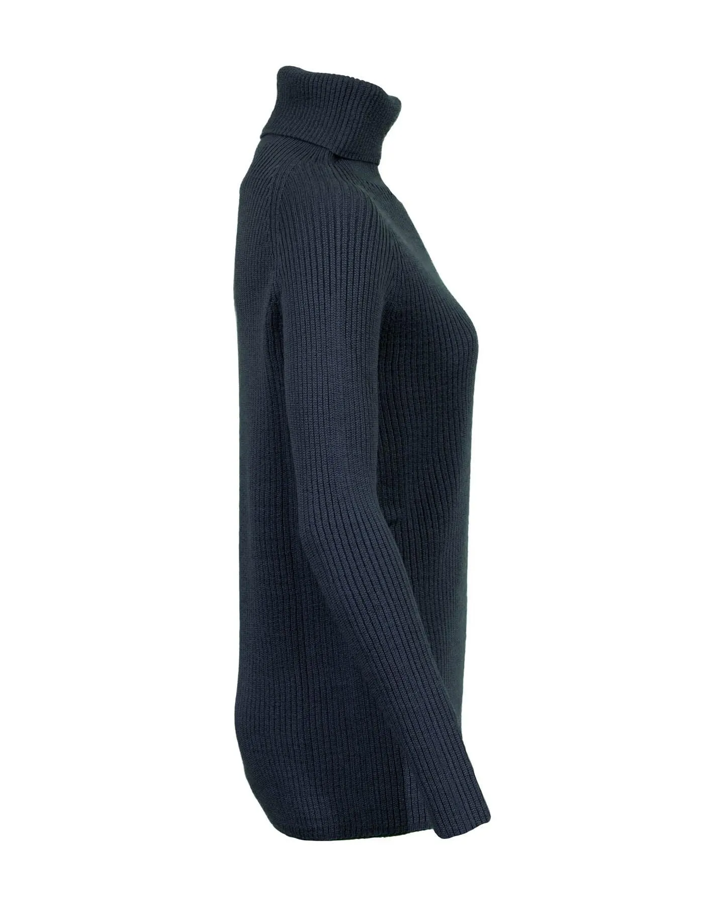 Ismo Ribbed Turtleneck