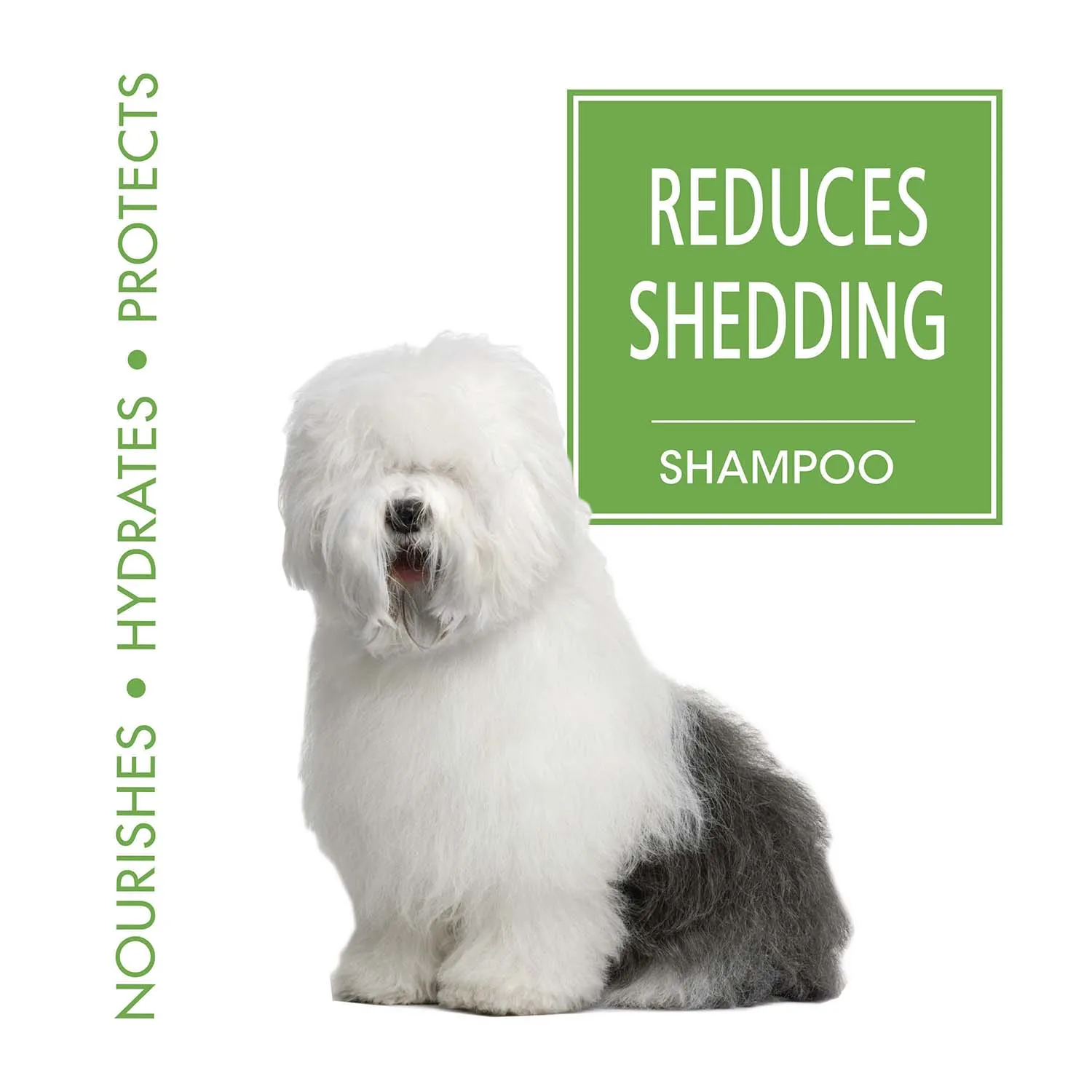 Magic Coat Reduces Shedding Shampoo, 16 oz