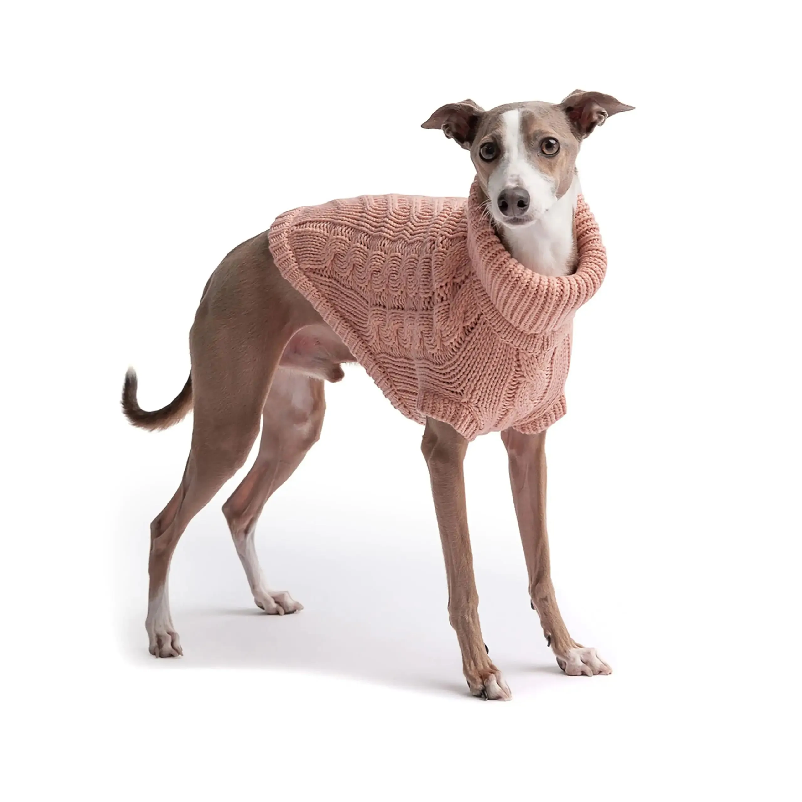 Snuggly Chalet Pet Sweater. Warmth and Fashion For Pets.