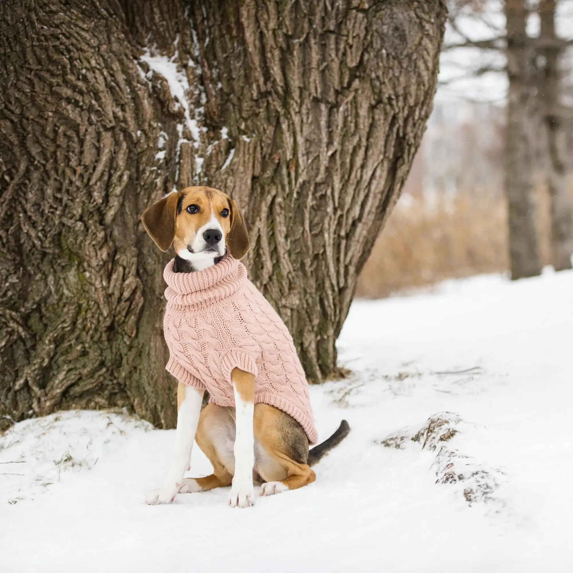 Snuggly Chalet Pet Sweater. Warmth and Fashion For Pets.