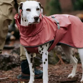 Waterproof Dog Rain Jacket/Riancoat - Pink