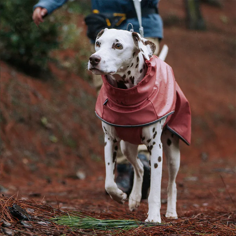 Waterproof Dog Rain Jacket/Riancoat - Pink