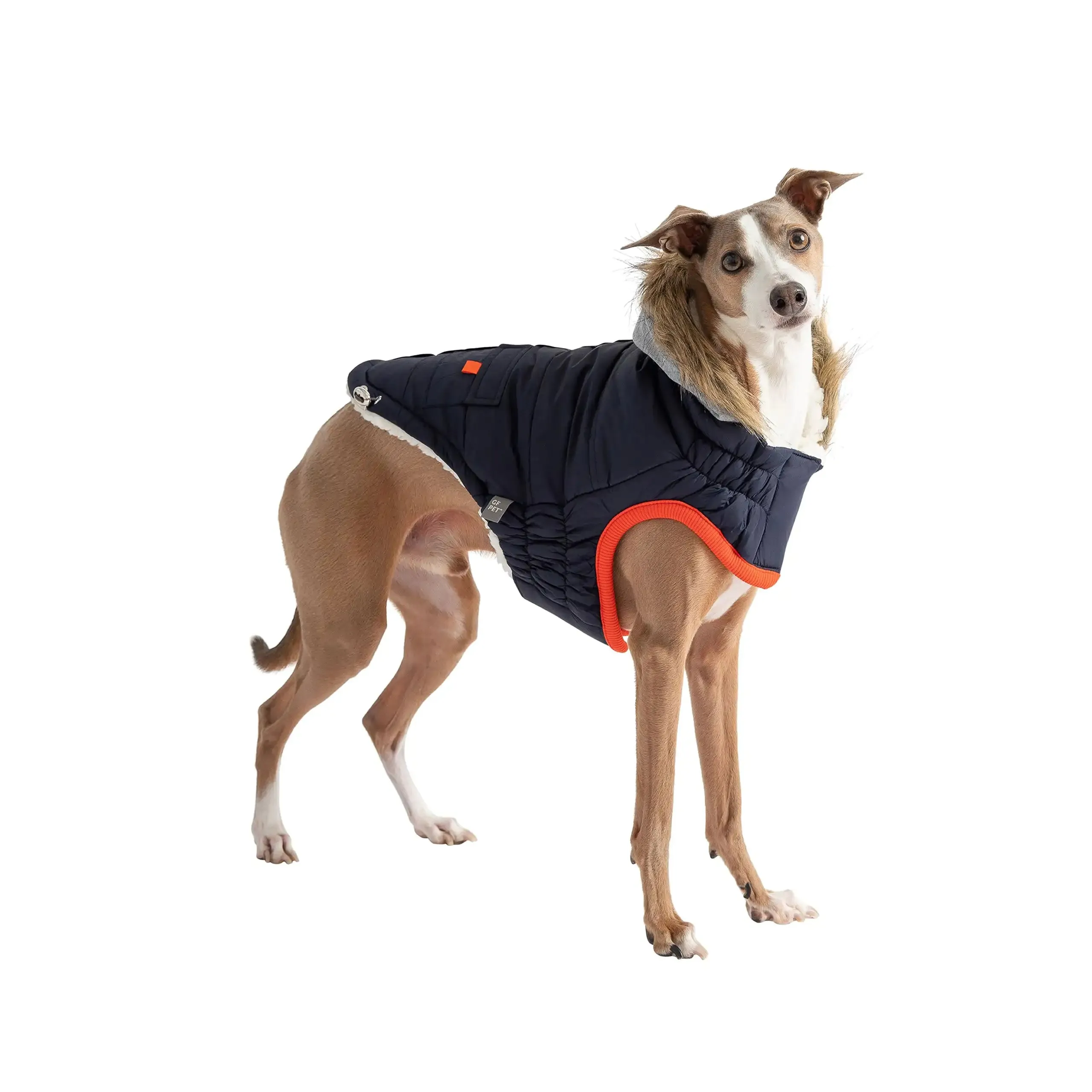 Winter Sailor Dog Parka, Sherpa Fleece Lining - Navy